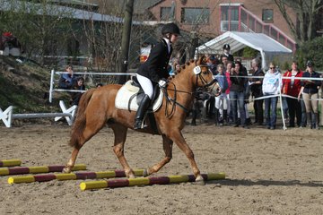 Bild 1150 - WBO-Turnier am 9.4.11